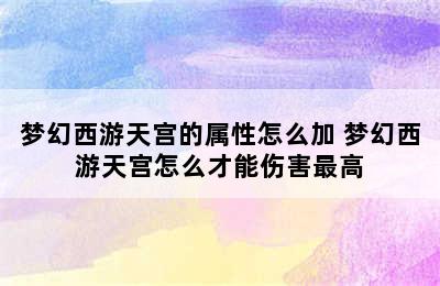 梦幻西游天宫的属性怎么加 梦幻西游天宫怎么才能伤害最高